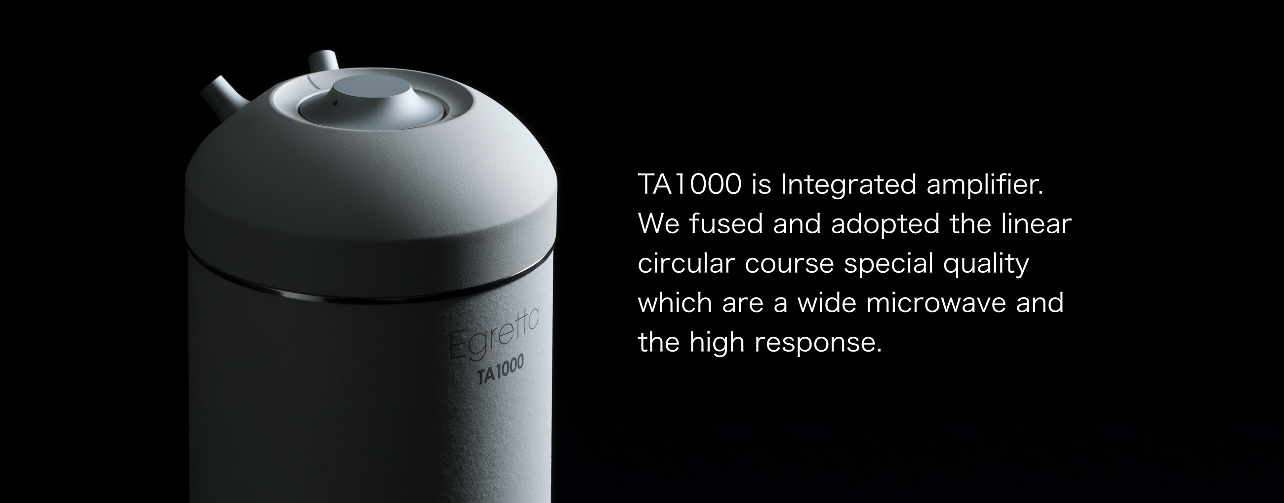 Integrated amplifier TA1000