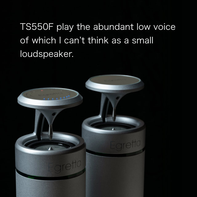 Natural sound speaker TS550F